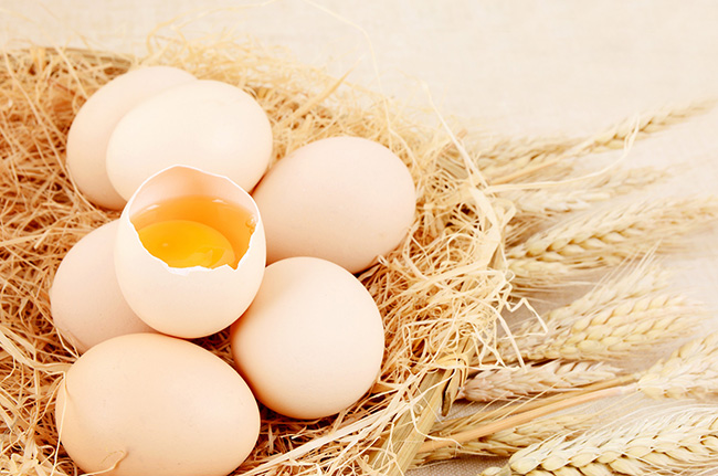 雞蛋檢測：氟苯尼考、恩諾沙星等獸藥殘留的解讀_廣電計量