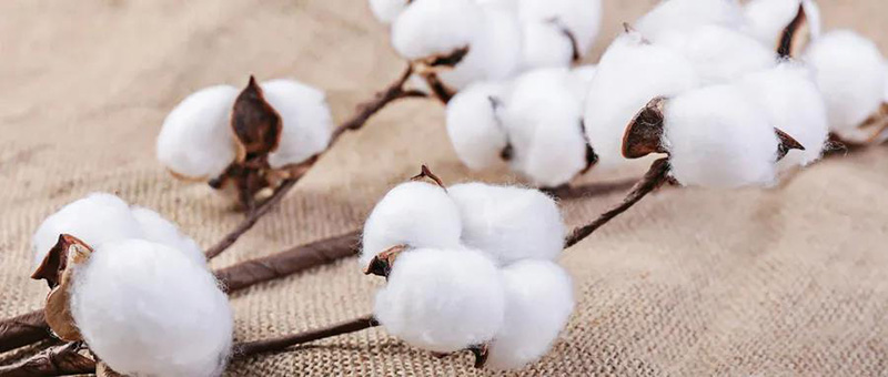 廣電計量紡織品檢測服務，與您共同致力國貨質量提升。