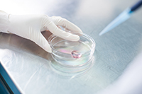 營養(yǎng)成份檢測及常規(guī)理化檢測